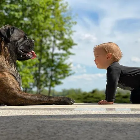 מלון Palac W Smoszewie