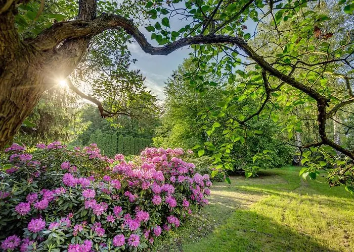 Pałac W Smoszewie Hotel Smoszewo